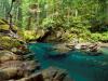 Ohanapecosh River, Mt. Rainier National Park, Washington